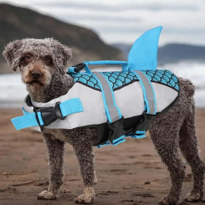  gilet-de-sauvetage-chien-requin