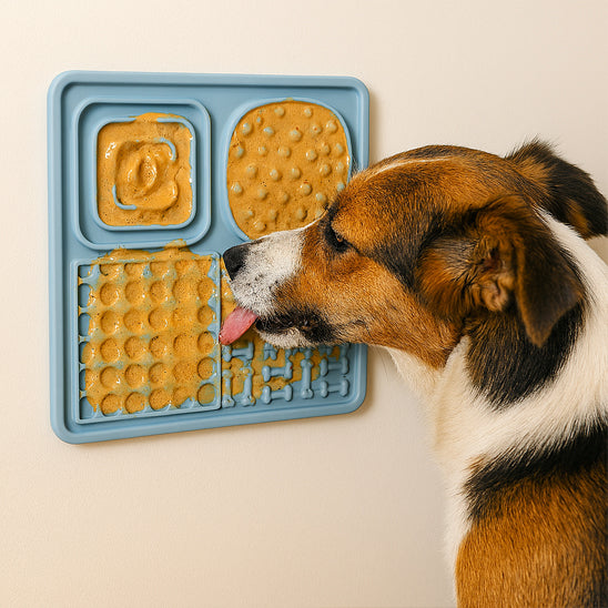 Coffret Sensoriel et Gourmandise pour Chien Curieux | Stimulez, Occupez et Régalez ( 4 Pièces )