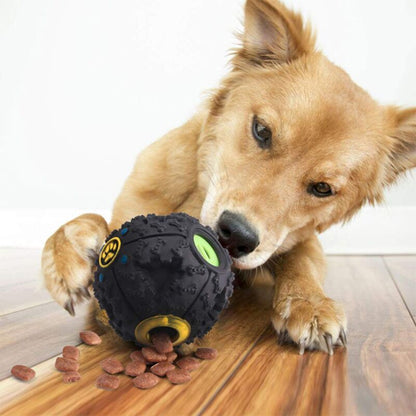 Coffret Sensoriel et Gourmandise pour Chien Curieux | Stimulez, Occupez et Régalez ( 4 Pièces )