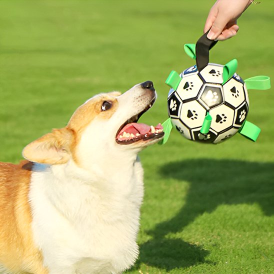 Jouet chien