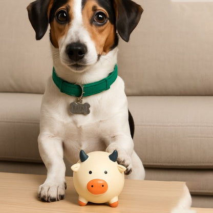 Jouet pour chien​