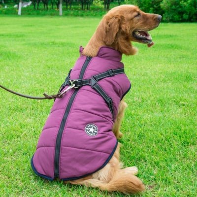 Manteau Pour Chien Frima ™ : Protection Optimale Contre le Froid - Le monde de Philo