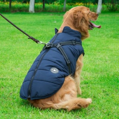 Manteau Pour Chien Frima ™ : Protection Optimale Contre le Froid - Le monde de Philo