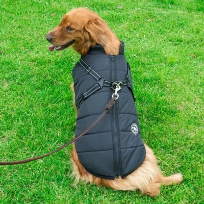 Manteau Pour Chien Frima ™ : Protection Optimale Contre le Froid - Le monde de Philo