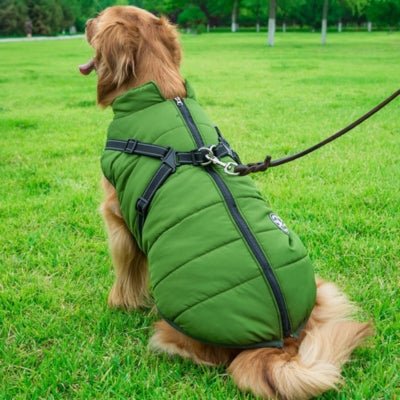 Manteau Pour Chien Frima ™ : Protection Optimale Contre le Froid - Le monde de Philo