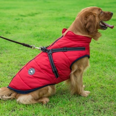Manteau Pour Chien Frima ™ : Protection Optimale Contre le Froid - Le monde de Philo