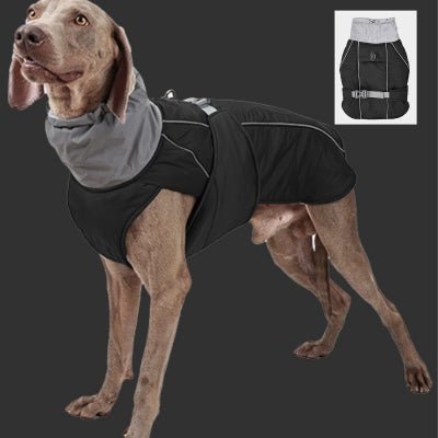 Manteau pour Chien : Snuggy™ - Le monde de Philo