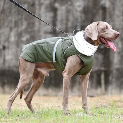 Manteau pour Chien : Snuggy™ - Le monde de Philo