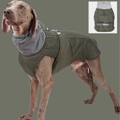 Manteau pour Chien : Snuggy™ - Le monde de Philo
