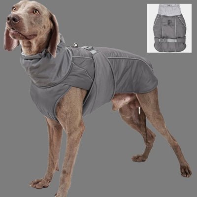 Manteau pour Chien : Snuggy™ - Le monde de Philo