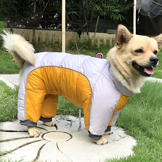 Manteau pour chien
