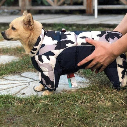 Manteau pour chien
