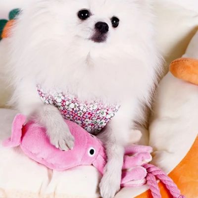 Peluche pour Chien - OctoRose - Le monde de Philo