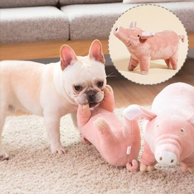 Peluche pour chien - Peggy™ - Le monde de Philo
