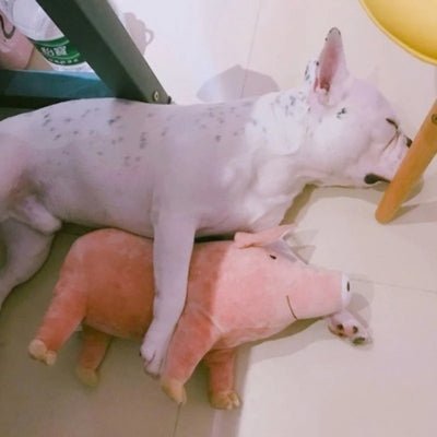 Peluche pour chien - Peggy™ - Le monde de Philo
