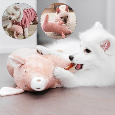 Peluche pour chien - Peggy™ - Le monde de Philo