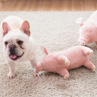 Peluche pour chien - Peggy™ - Le monde de Philo