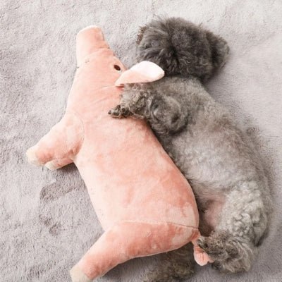 Peluche pour chien - Peggy™ - Le monde de Philo