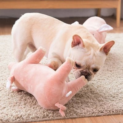 Peluche pour chien - Peggy™ - Le monde de Philo