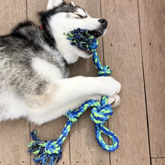 Jouet chien indestructible | UltraRésist
