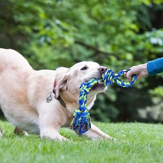 Jouet chien indestructible | UltraRésist