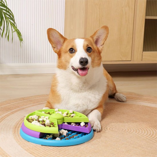 Gamelle Anti Glouton Chien – Pour des Repas Plus Lents, Plus Sains, Plus Sereins