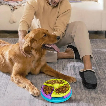 Gamelle Anti Glouton Chien – Pour des Repas Plus Lents, Plus Sains, Plus Sereins