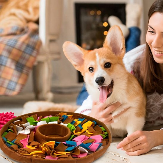Coffret Sensoriel et Gourmandise pour Chien Curieux | Stimulez, Occupez et Régalez ( 4 Pièces )