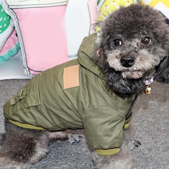 Manteau pour Chien | Style Militaire, Confort Total