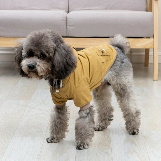 Manteau pour Chien | Style Militaire, Confort Total