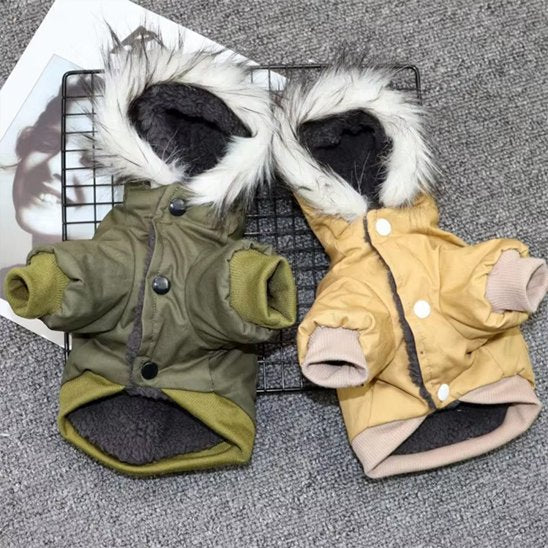 Manteau pour Chien | Style Militaire, Confort Total