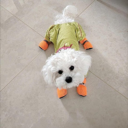 Chaussures chien |respisantes