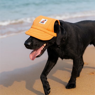 Casquette chien | Protection Solaire