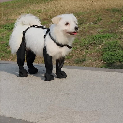 Bottes pour chien | Hautes