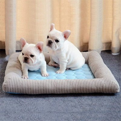 Tapis refroidissant chien - Summer