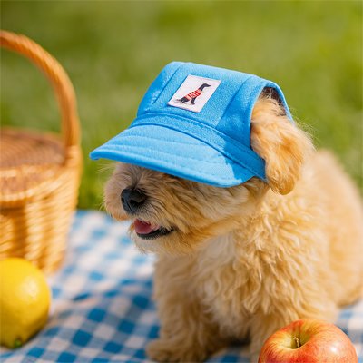 Casquette chien | Protection Solaire
