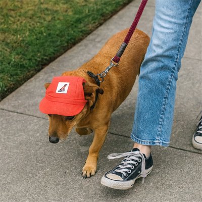 Casquette chien | Protection Solaire