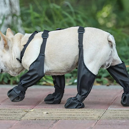 Bottes pour chien | Hautes