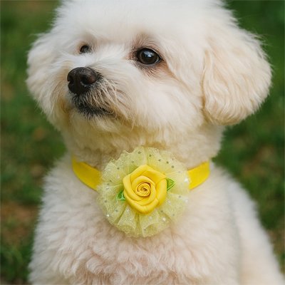 Collier Chien | Fantasy
