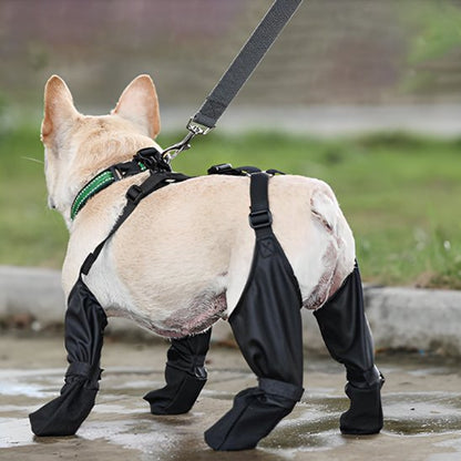 Bottes pour chien | Hautes