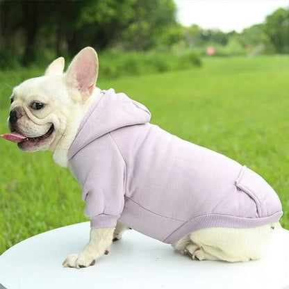 Pull pour chien