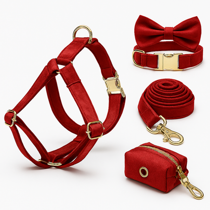 Coffret Élégance Teal pour Chien – Cadeau Chic pour Noël