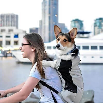 sac-a-dos-pour-chien-gris-voyage