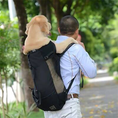 Sac a dos pour chien - Echo™