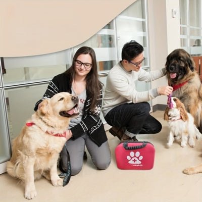 Trousse de premier soins pour chien - Prémium™ - Le monde de Philo