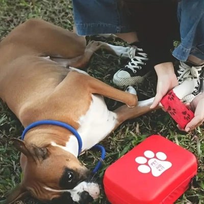 Trousse de premier soins pour chien - Prémium™ - Le monde de Philo