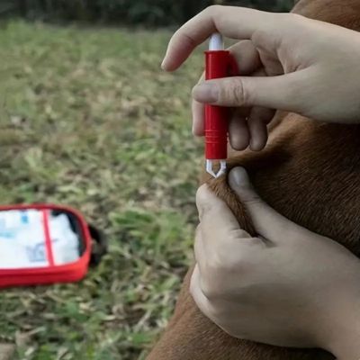 Trousse de premier soins pour chien - Prémium™ - Le monde de Philo