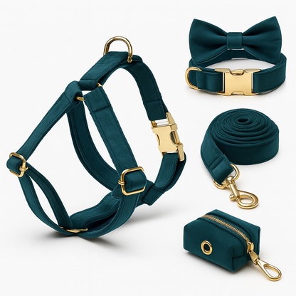 Coffret Élégance Teal pour Chien – Cadeau Chic pour Noël